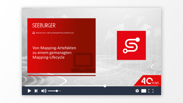 Von Mapping-Artefakten zu einem gemanagten Mapping-Lifecycle
