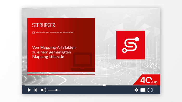 Von Mapping-Artefakten zu einem gemanagten Mapping-Lifecycle