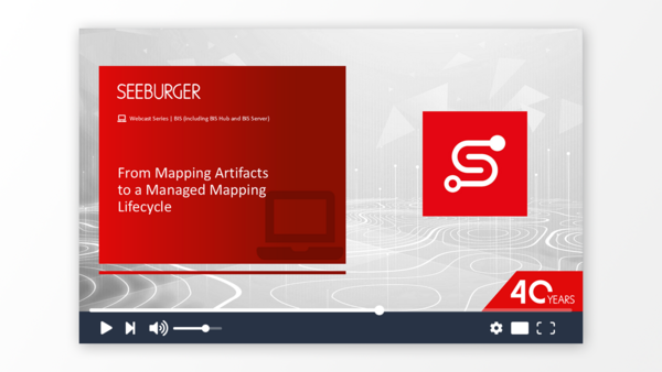 From Mapping Artifacts to a Managed Mapping Lifecycle