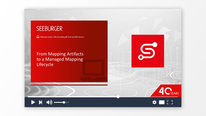 From Mapping Artifacts to a Managed Mapping Lifecycle