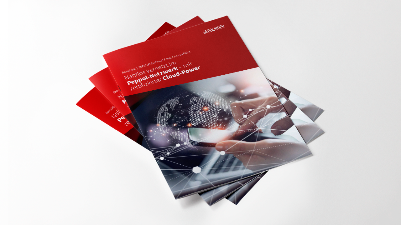Broschüre: Cloud Peppol Access Point | DE
