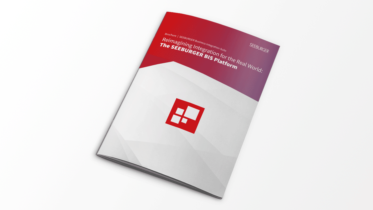 Brochure: Reimagining Integration for the Real World | EN